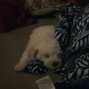 Meet your Posher, Camden